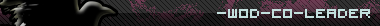 Co-leader.png