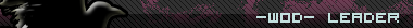 Leader.png