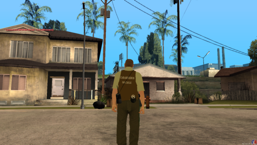 Más información sobre "Skin de carabinero"